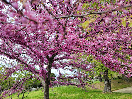 Historical Landmark «George Washington Birthplace National Monument», reviews and photos, 1732 Popes Creek Rd, Colonial Beach, VA 22443, USA