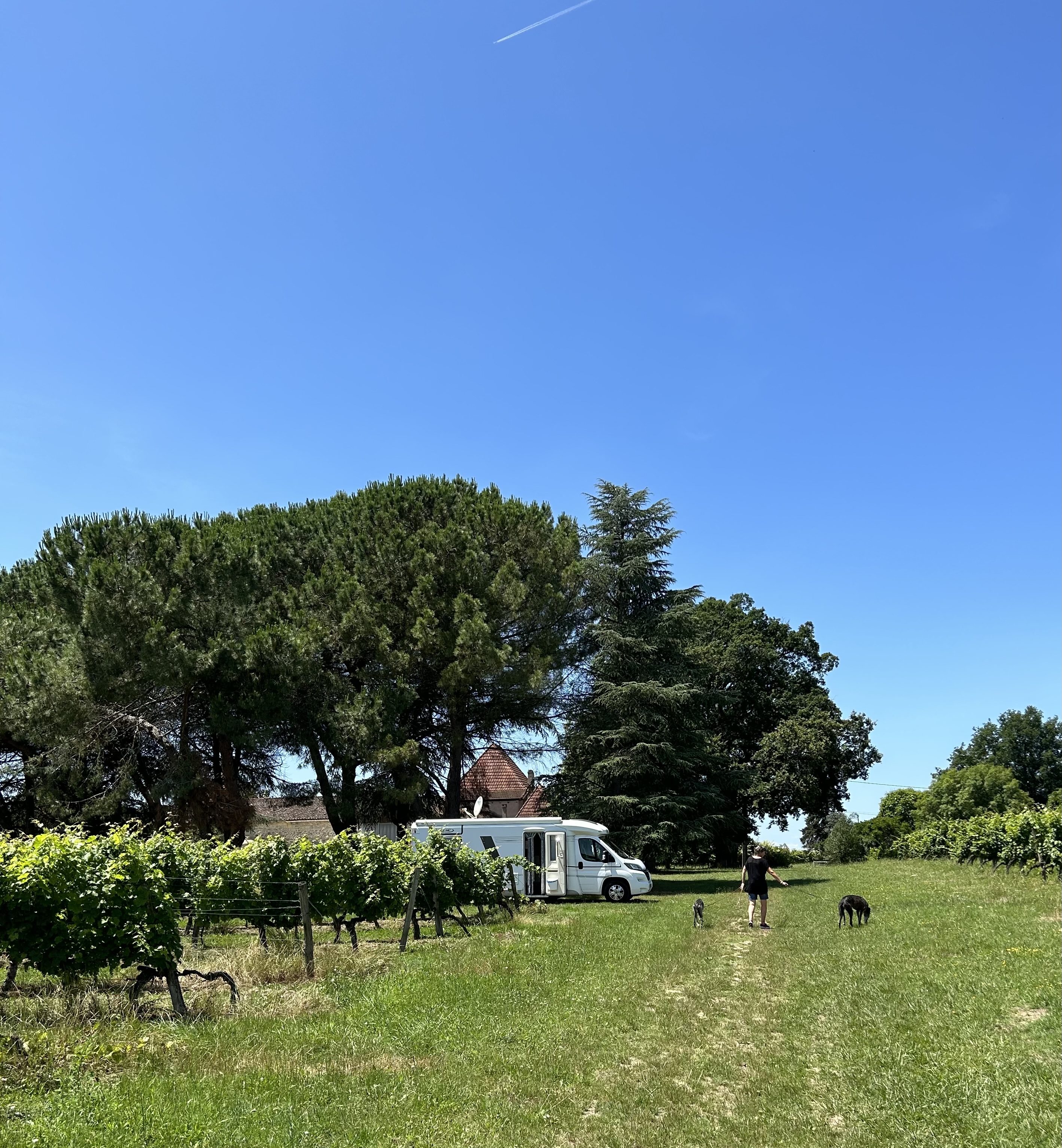 Photo n° 1 de l'avis de Rolf.f fait le 23/06/2023 à 17:22