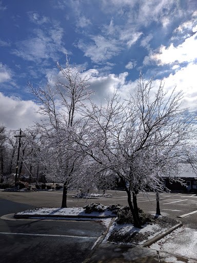 Attorney «Leavitt & Martin, PLLC», reviews and photos