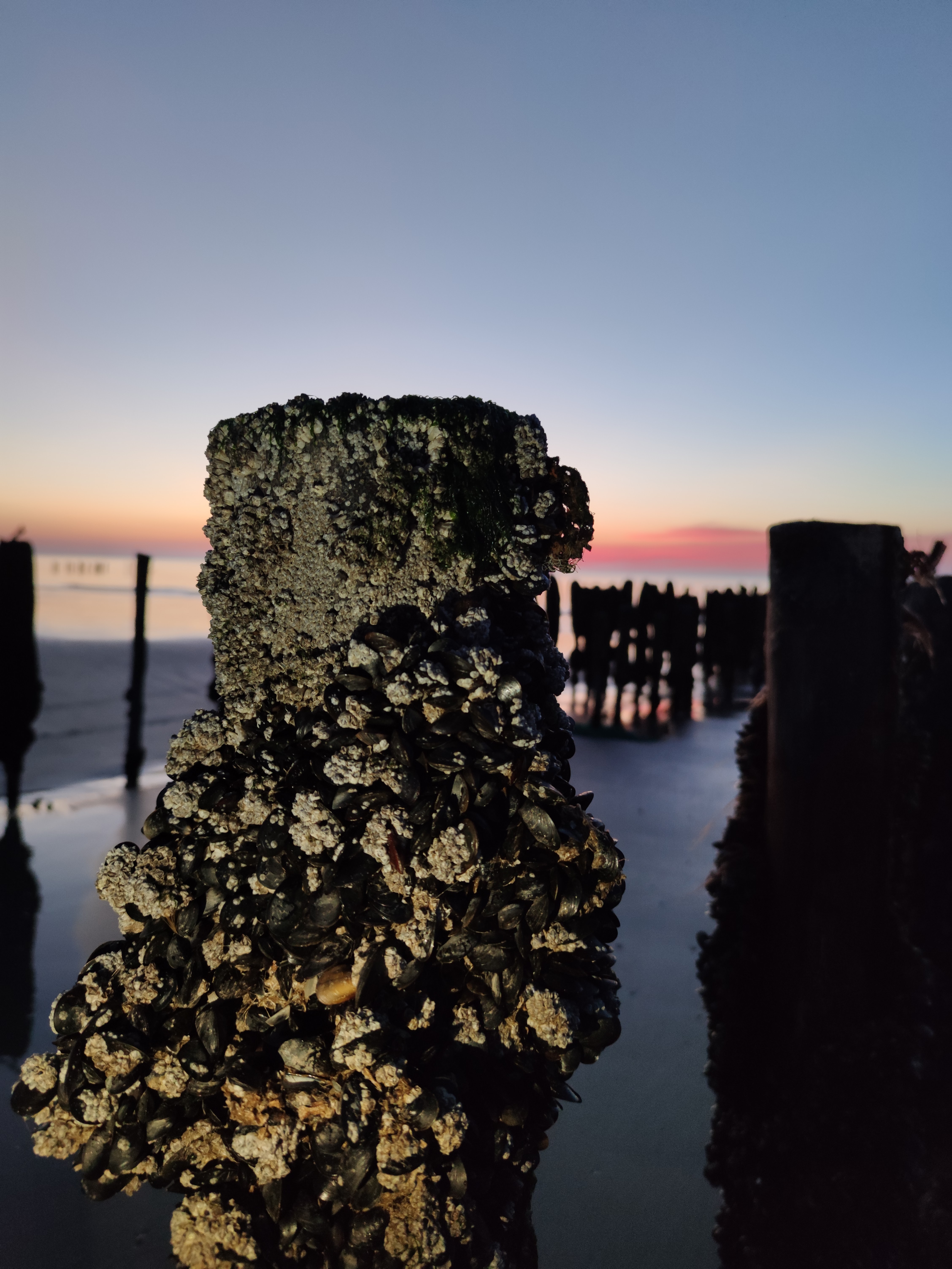 Photo n° 5 de l'avis de Maxime.r fait le 29/11/2020 à 12:55