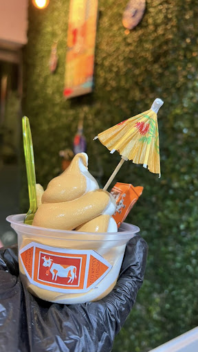 ايس كوين للمثلجات والايسكريم 