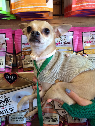 Pet Groomer «Woof Gang Bakery Rockwall», reviews and photos, 832 Steger Towne Rd, Rockwall, TX 75032, USA