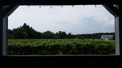 Winery «Laurel Lake Vineyards», reviews and photos, 3165 Main Rd, Laurel, NY 11948, USA
