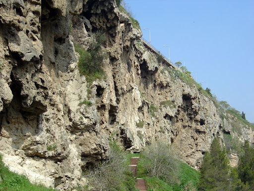 NEAN Parc Prehistòric de Capellades en Capellades