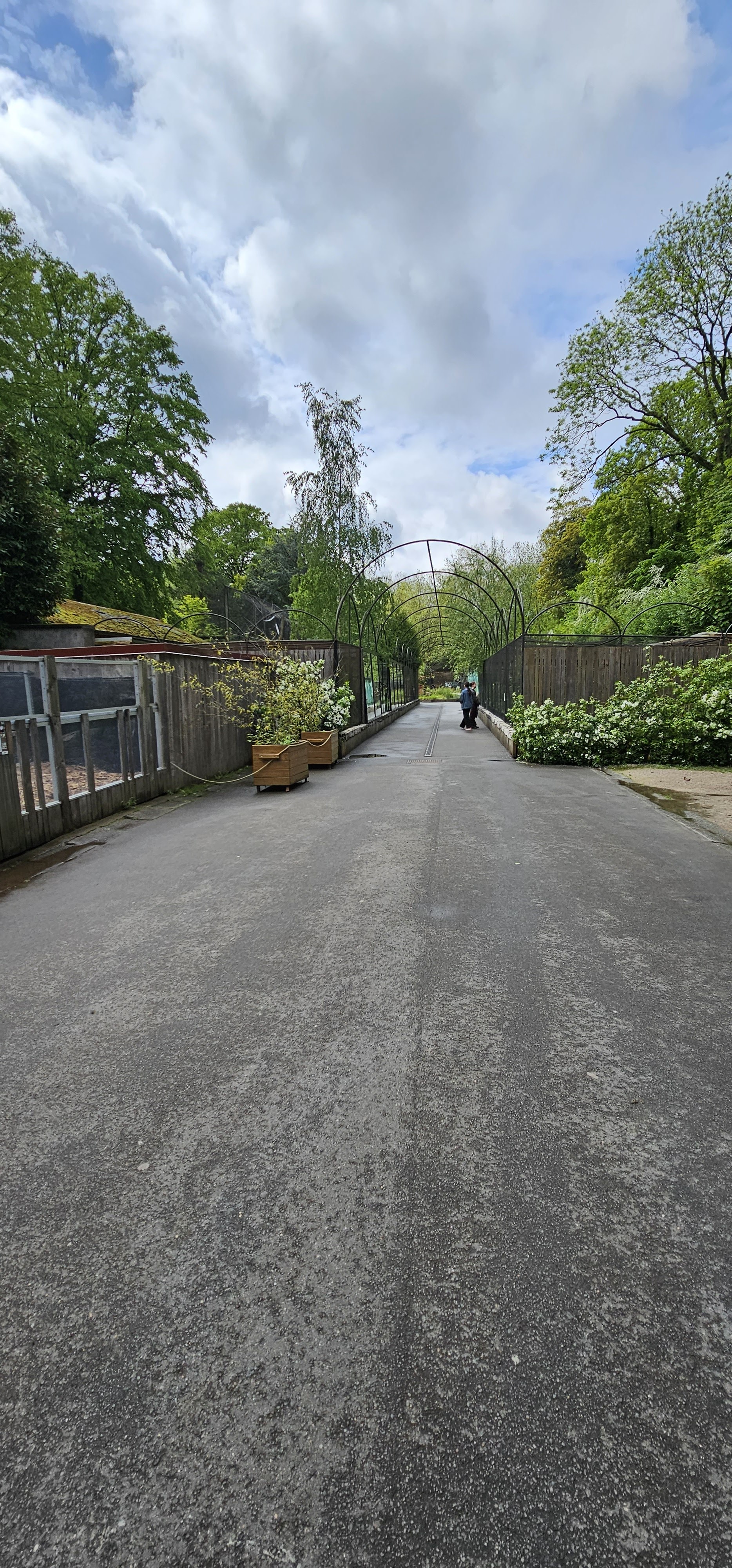 Photo n° 19 de l'avis de yaya.a fait le 15/05/2023 à 16:30