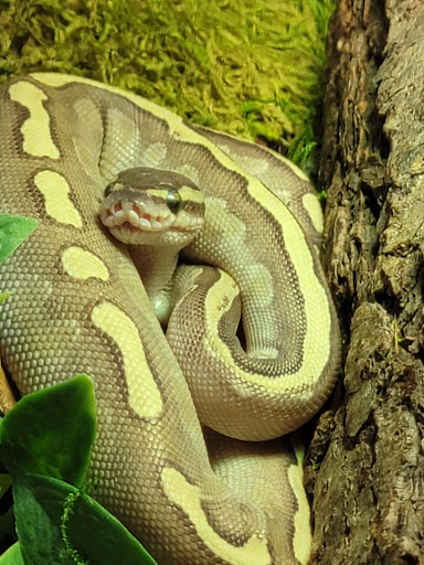 Pet Store «The Pet Works», reviews and photos, 407 4th Ave E, Olympia, WA 98501, USA