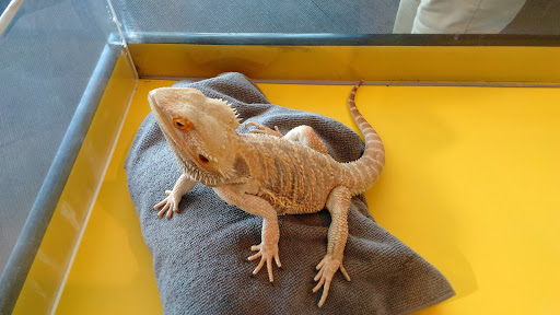 Science Museum «Connecticut Science Center», reviews and photos, 250 Columbus Blvd, Hartford, CT 06103, USA