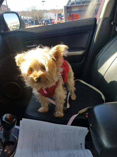 Pet Supply Store «PetSmart», reviews and photos, 475 Bank St, Waterbury, CT 06708, USA