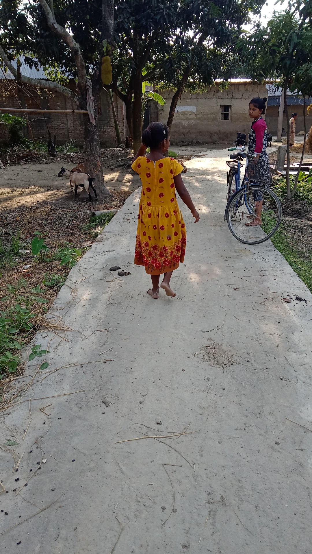 Krishnapur Stand