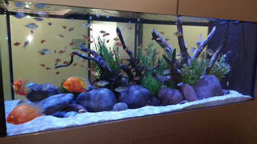 Cable Company «World Cinema Inc», reviews and photos, 9801 Westheimer Rd # 409, Houston, TX 77042, USA