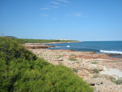 Photo de Platja Serradal 2 avec plusieurs petites baies