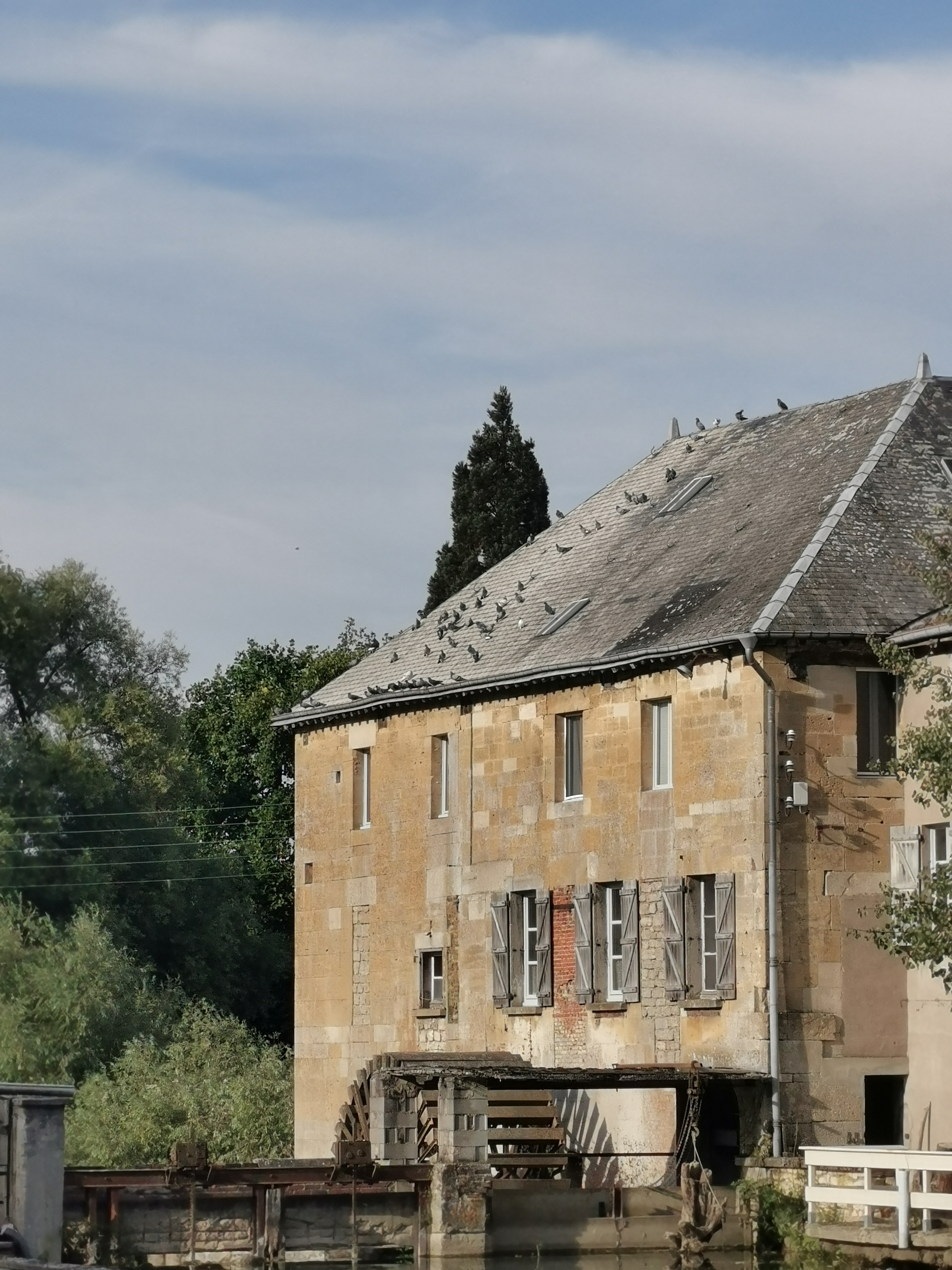 Photo n° 3 de l'avis de Phidis.a fait le 10/07/2019 à 10:30