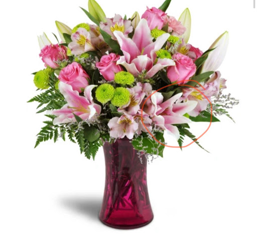 Florist «Amazon Flowers», reviews and photos, 6730 SW 20th Ct, Miramar, FL 33023, USA