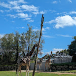 Photo n° 4 de l'avis de Marjorie.c fait le 18/09/2023 à 17:20 pour Parc animalier et botanique & Parcabout de Branféré à Le Guerno