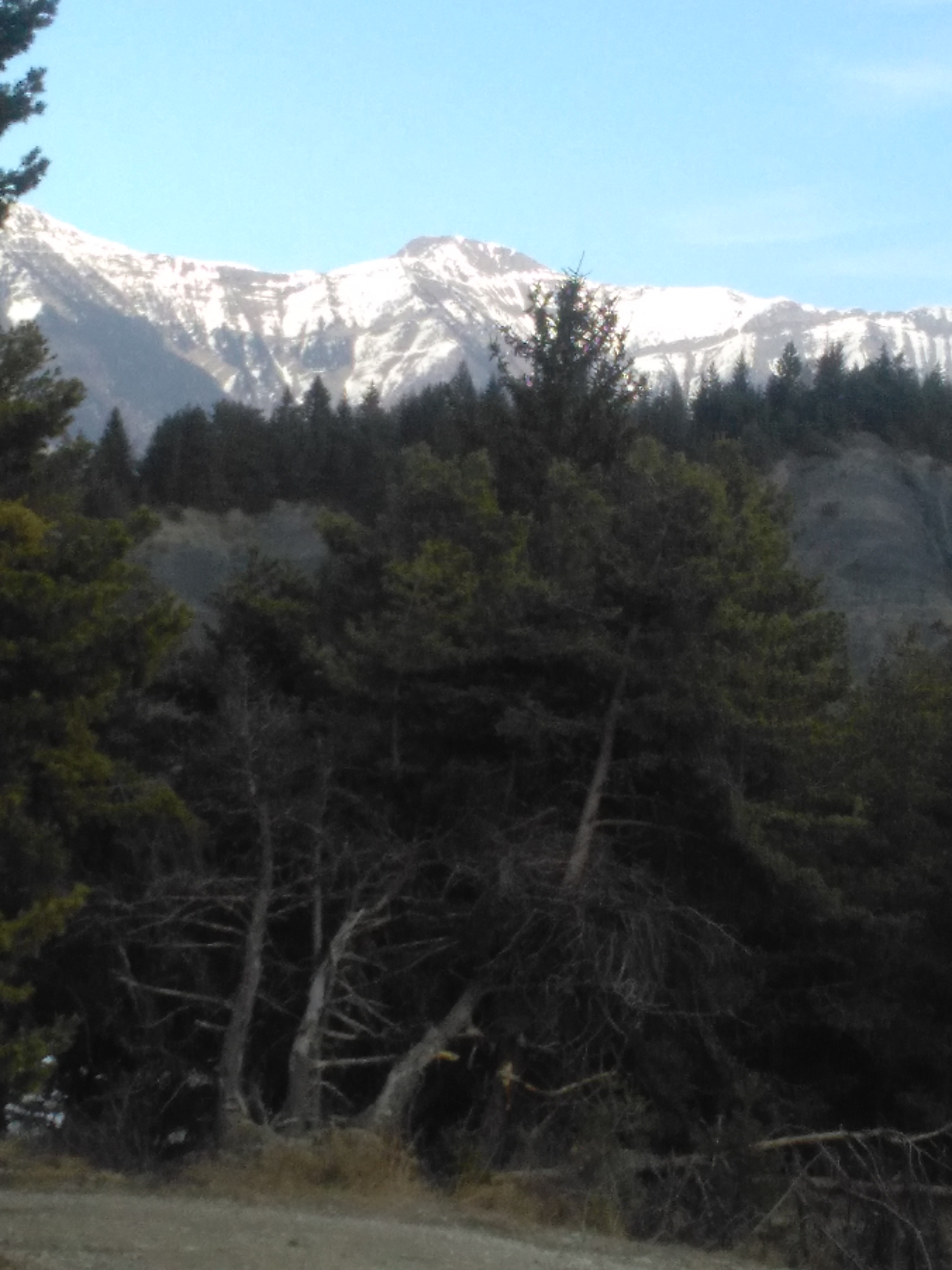 Photo n° 2 de l'avis de regine.a fait le 06/03/2021 à 16:16