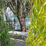 Photo n°1 de l'avis de Anny.a fait le 24/08/2021 à 06:32 sur le  Lido di Varenna à Perledo