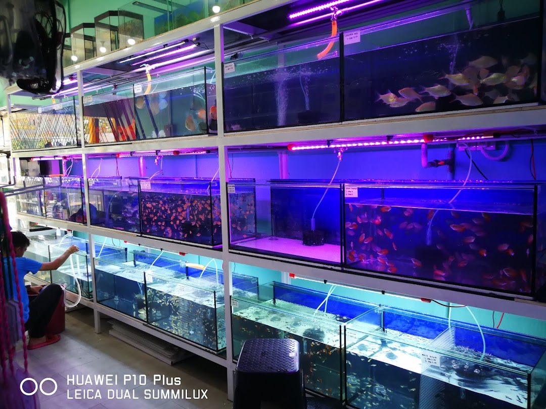 Muezza Aquarium & Fishing Centre