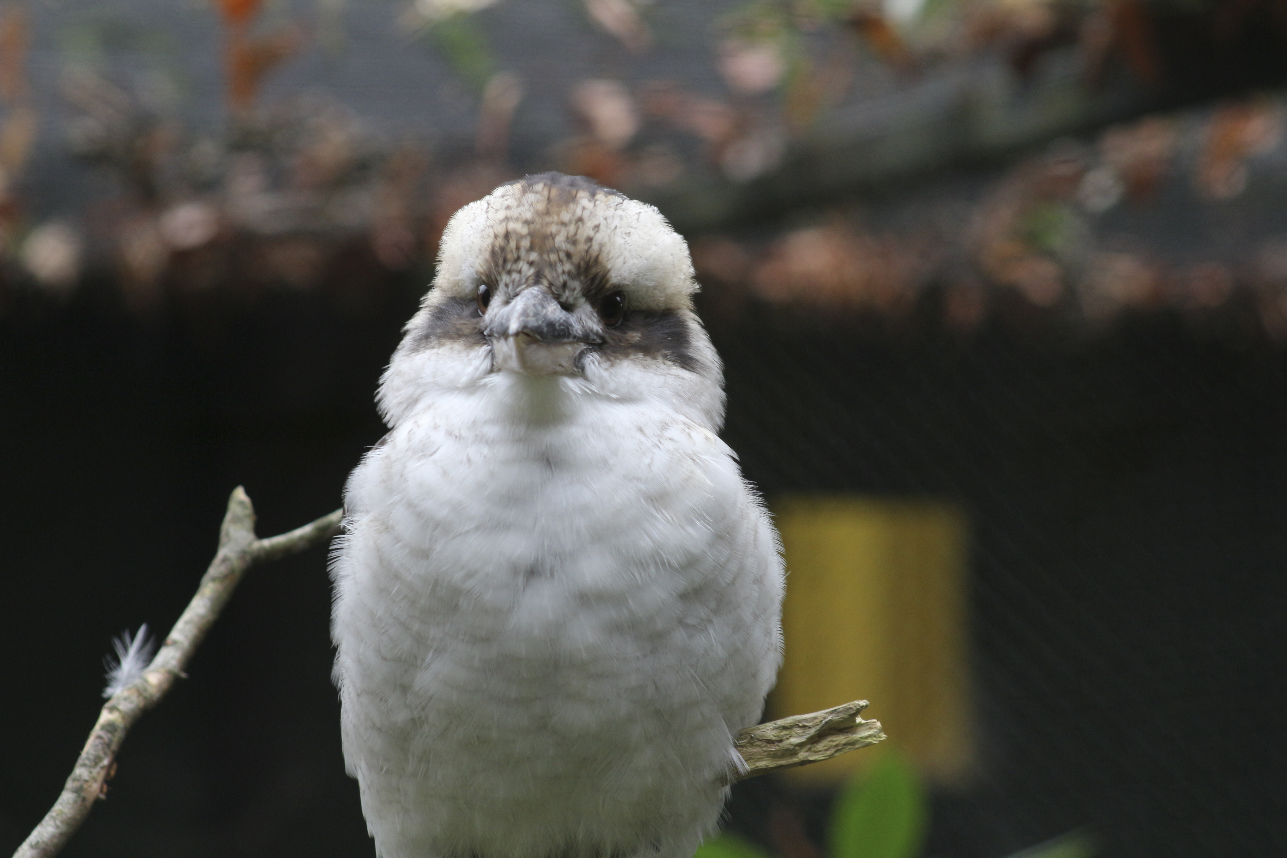 Photo n° 21 de l'avis de Laurent. fait le 05/08/2022 à 12:06