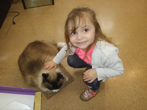 Pet Store «A to Z Pets», reviews and photos, 16010 SE Division St, Portland, OR 97236, USA