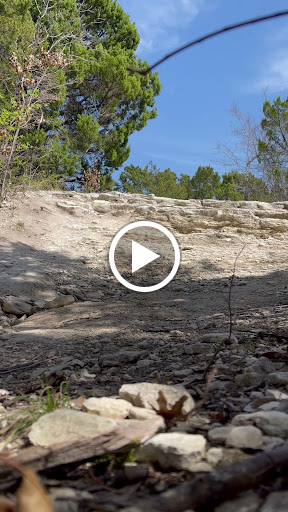 Nature Preserve «Oak Cliff Nature Preserve», reviews and photos, 2875 Pierce Street, Dallas, TX 75233, USA