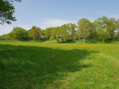 Le Camp des Anglais à Sainte-Suzanne-et-Chammes