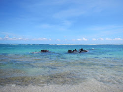 Photo de Lotofago Beach avec un niveau de propreté de très propre