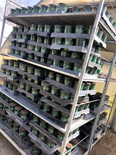 Florist «The Garden», reviews and photos, 155 Main St N, Woodbury, CT 06798, USA