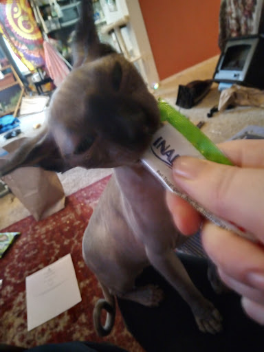 Pet Supply Store «Wally Pets», reviews and photos, 4411 Wallingford Ave N, Seattle, WA 98103, USA