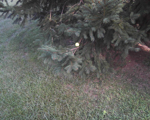 Golf Club «Hickory Heights Golf Club», reviews and photos, 5158 Lehman Rd, Spring Grove, PA 17362, USA