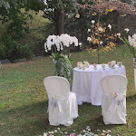 Photo n°3 de l'avis de Daniela.o fait le 08/10/2023 à 10:26 sur le  Ristorante al Piave à Boffalora Sopra Ticino