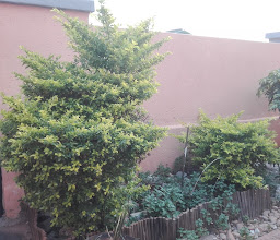Erf 21282 Mamelodi photo