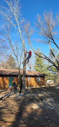 Double D & Son Tree Experts, LLC