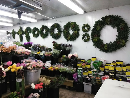 Florist «San Antonio Flower Co», reviews and photos, 7538 Broadway St, San Antonio, TX 78209, USA