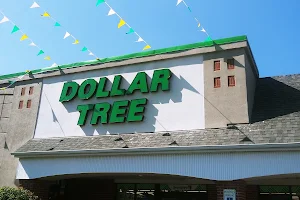 Dollar Tree image