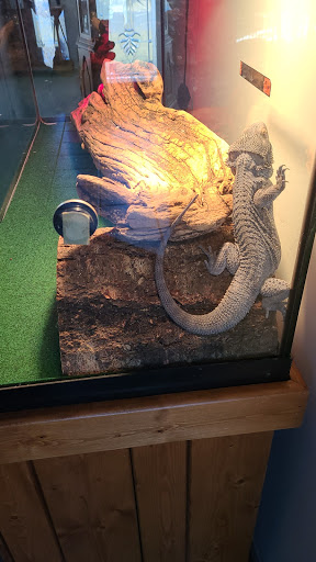 Pet Store «Precious Pets III», reviews and photos, 1091 US-130, Burlington, NJ 08016, USA