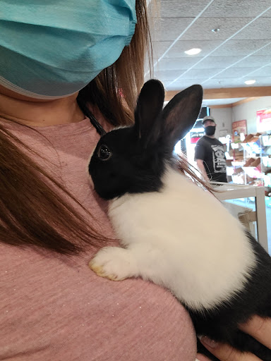 Pet Store «Miles of Exotics», reviews and photos, 8350 N Broadway, Kansas City, MO 64118, USA