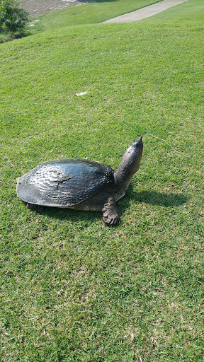 Golf Club «Santa Rosa Golf & Beach Club», reviews and photos, 334 Golf Club Dr, Santa Rosa Beach, FL 32459, USA