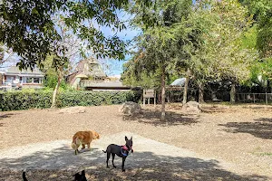 Ohlone Dog Park image