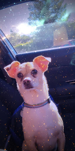 Coffee Shop «Starbucks», reviews and photos, 224 N Ham Ln, Lodi, CA 95242, USA