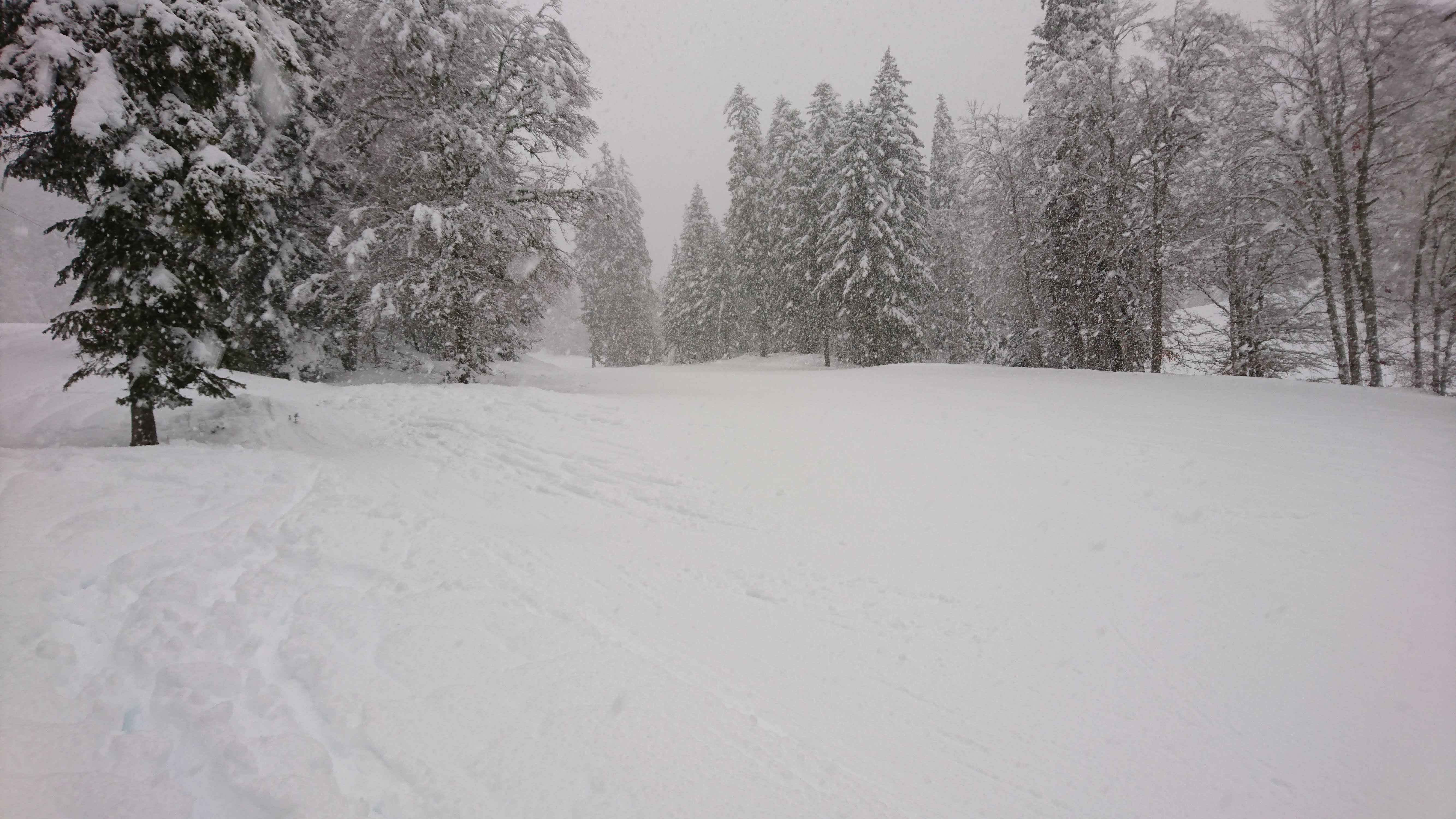 Photo n° 22 de l'avis de James.c fait le 17/02/2019 à 14:13