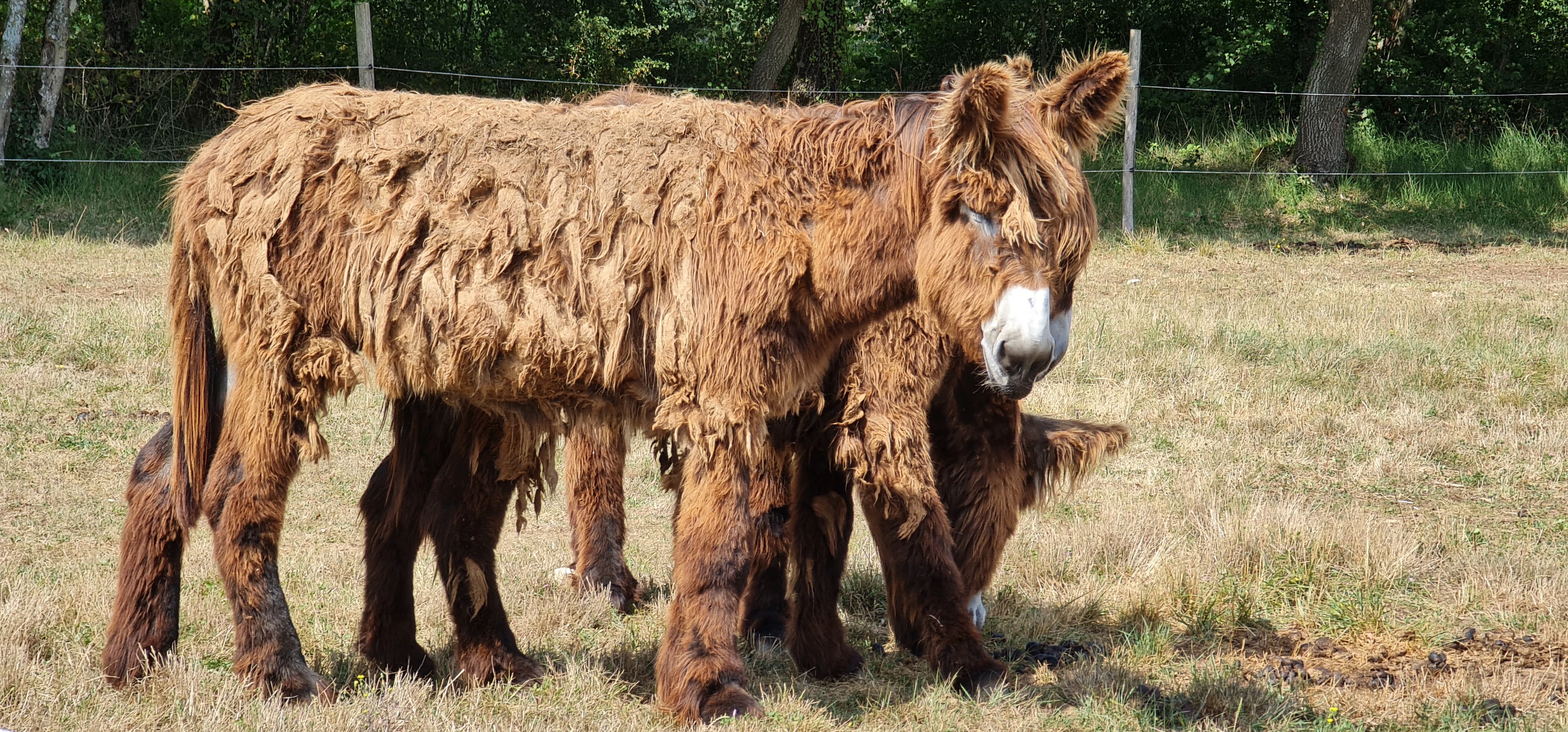 Photo n° 8 de l'avis de Jean.r fait le 23/07/2022 à 17:55