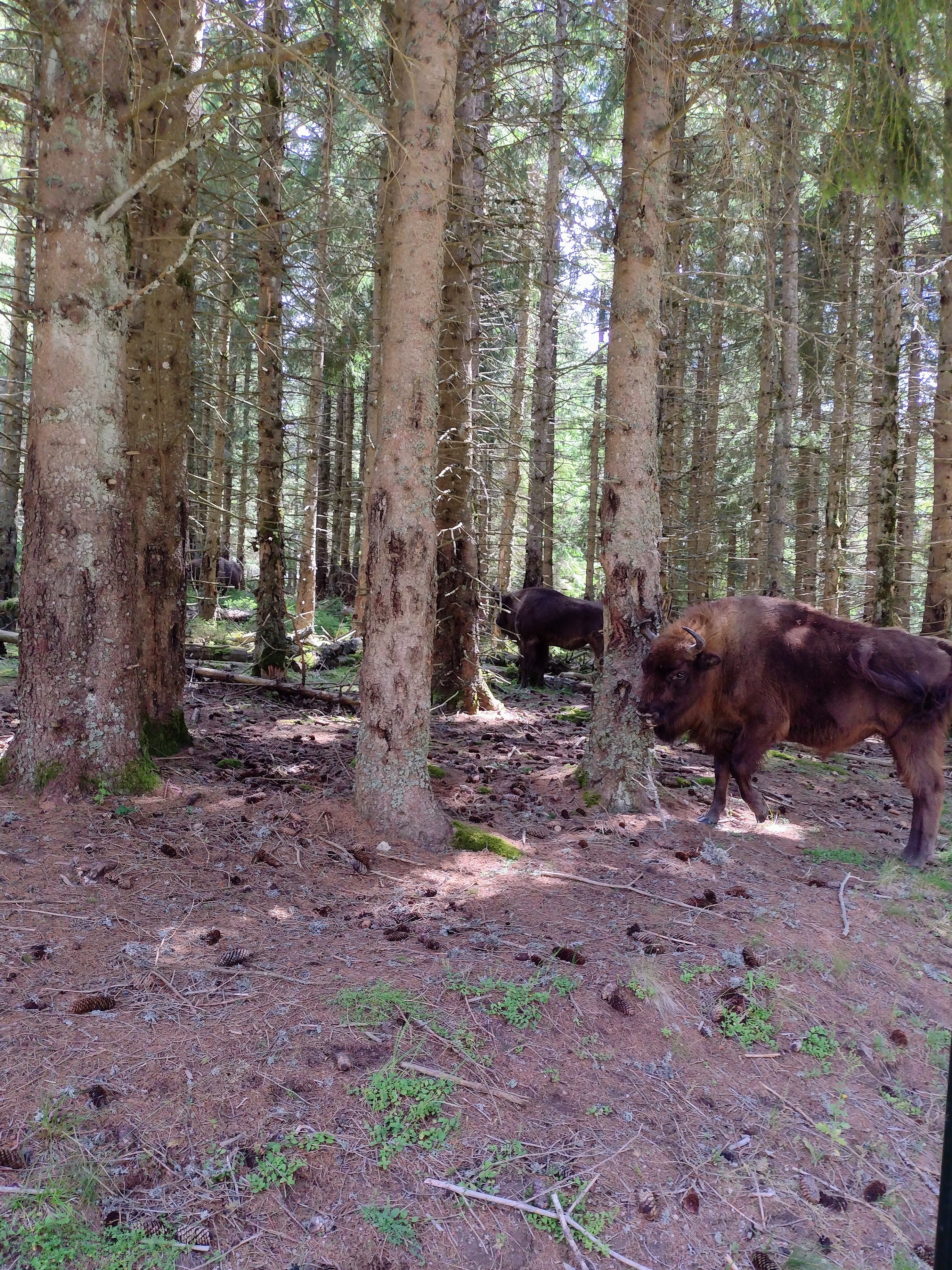 Photo n° 4 de l'avis de Anaïs.o fait le 17/07/2023 à 11:34