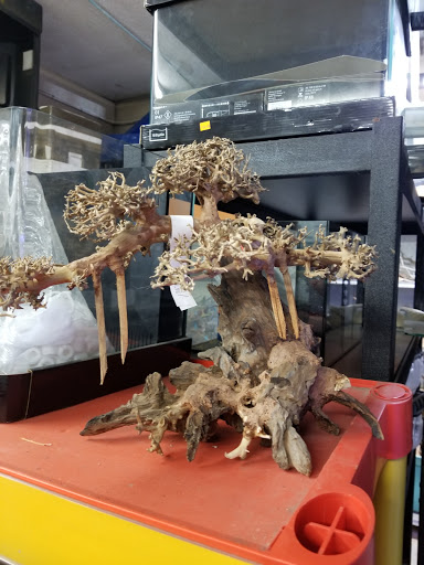 Tropical Fish Store «C K Fish World», reviews and photos, 410 N Azusa Ave, West Covina, CA 91791, USA