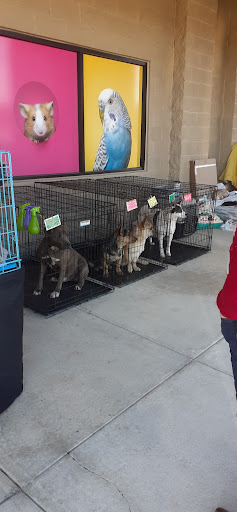 Pet Supply Store «PetSmart», reviews and photos, 225 Robert C Daniel Jr Pkwy, Augusta, GA 30909, USA