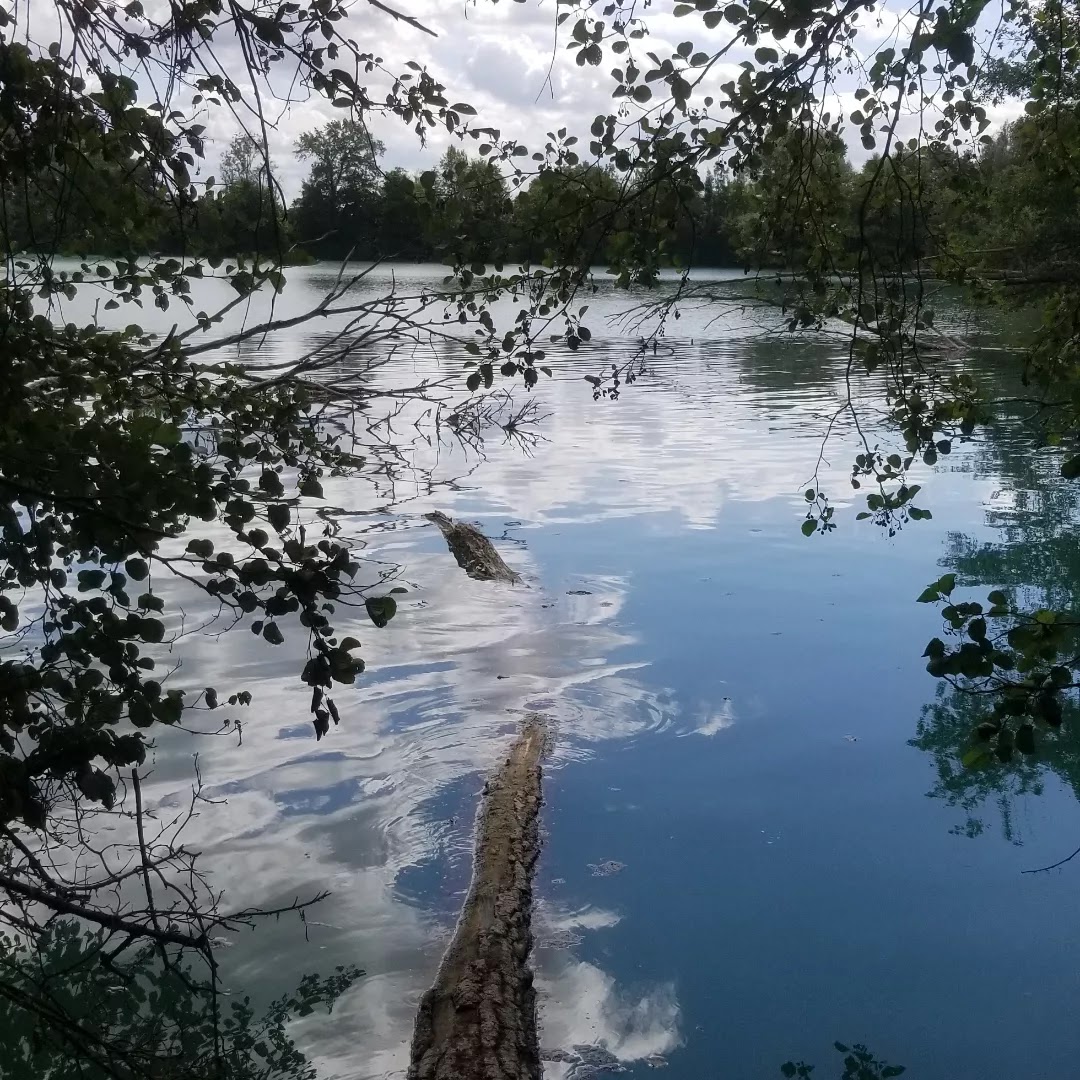 Photo n° 1 de l'avis de Céline.O fait le 27/07/2022 à 19:47