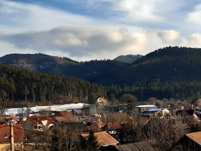 Pensiunea Apolka Panzió