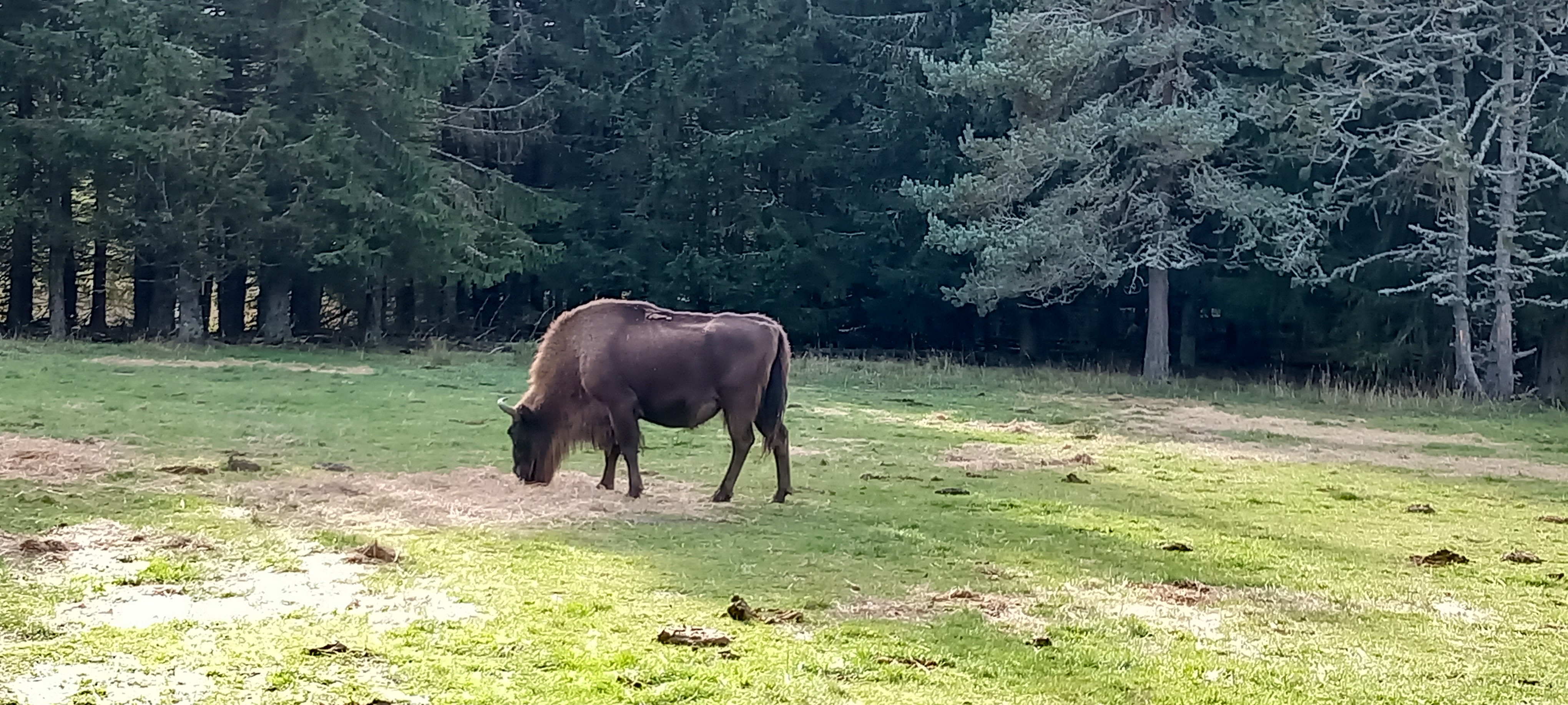 Photo n° 2 de l'avis de Phil.e fait le 01/11/2022 à 16:27