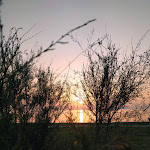 Photo n°1 de l'avis de Mario.o fait le 29/07/2021 à 18:46 sur le  Albergo Esperia à Milazzo