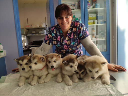 Cal Veterinari en Caldes de Montbui