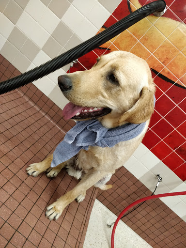 Pet Supply Store «Pet Food Express», reviews and photos, 261 Park Rd, Burlingame, CA 94010, USA